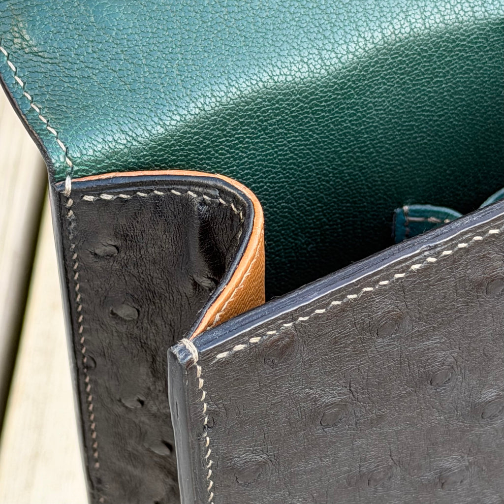 Briefcase ostrich