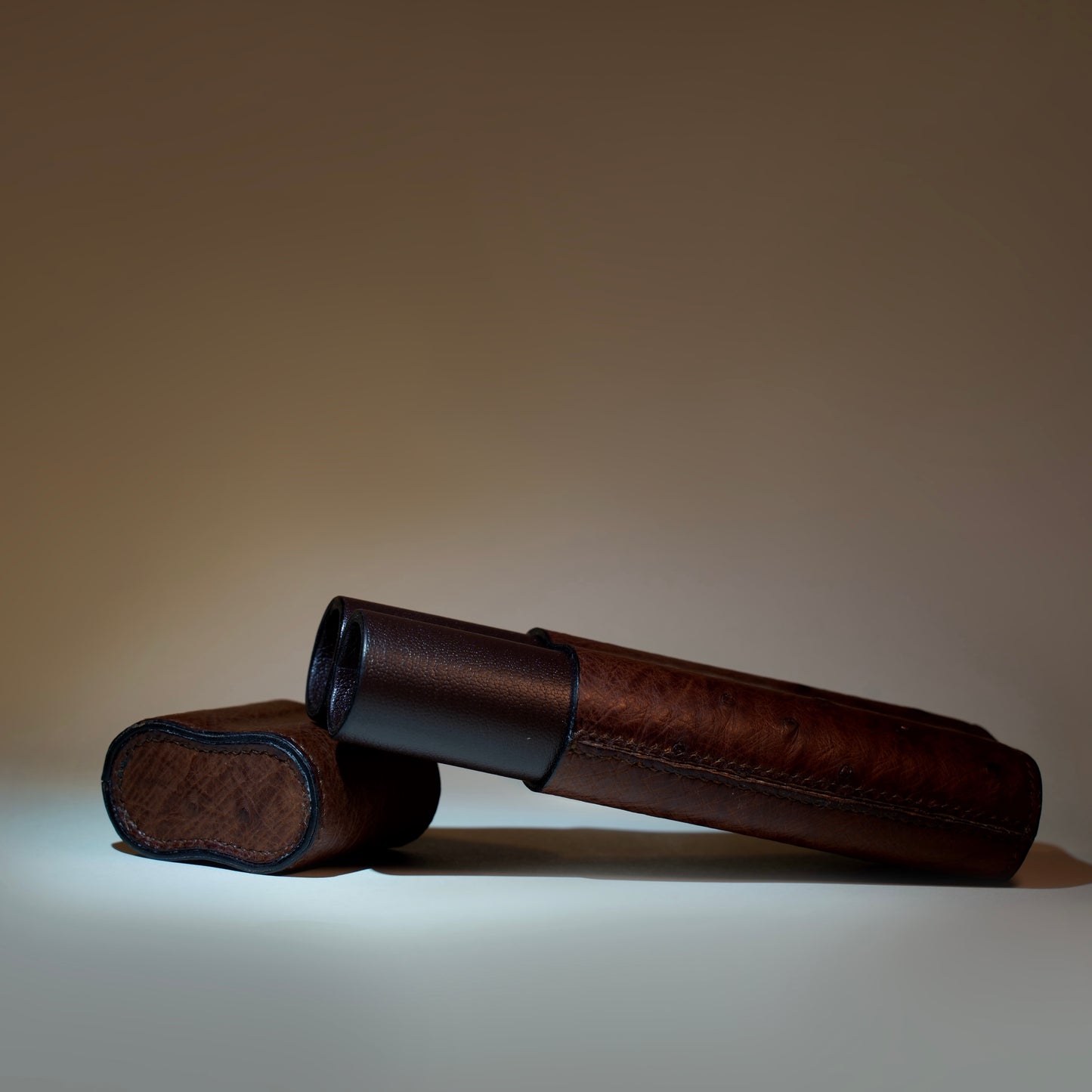 Cigar case