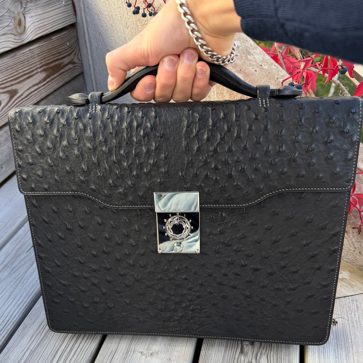 Briefcase ostrich