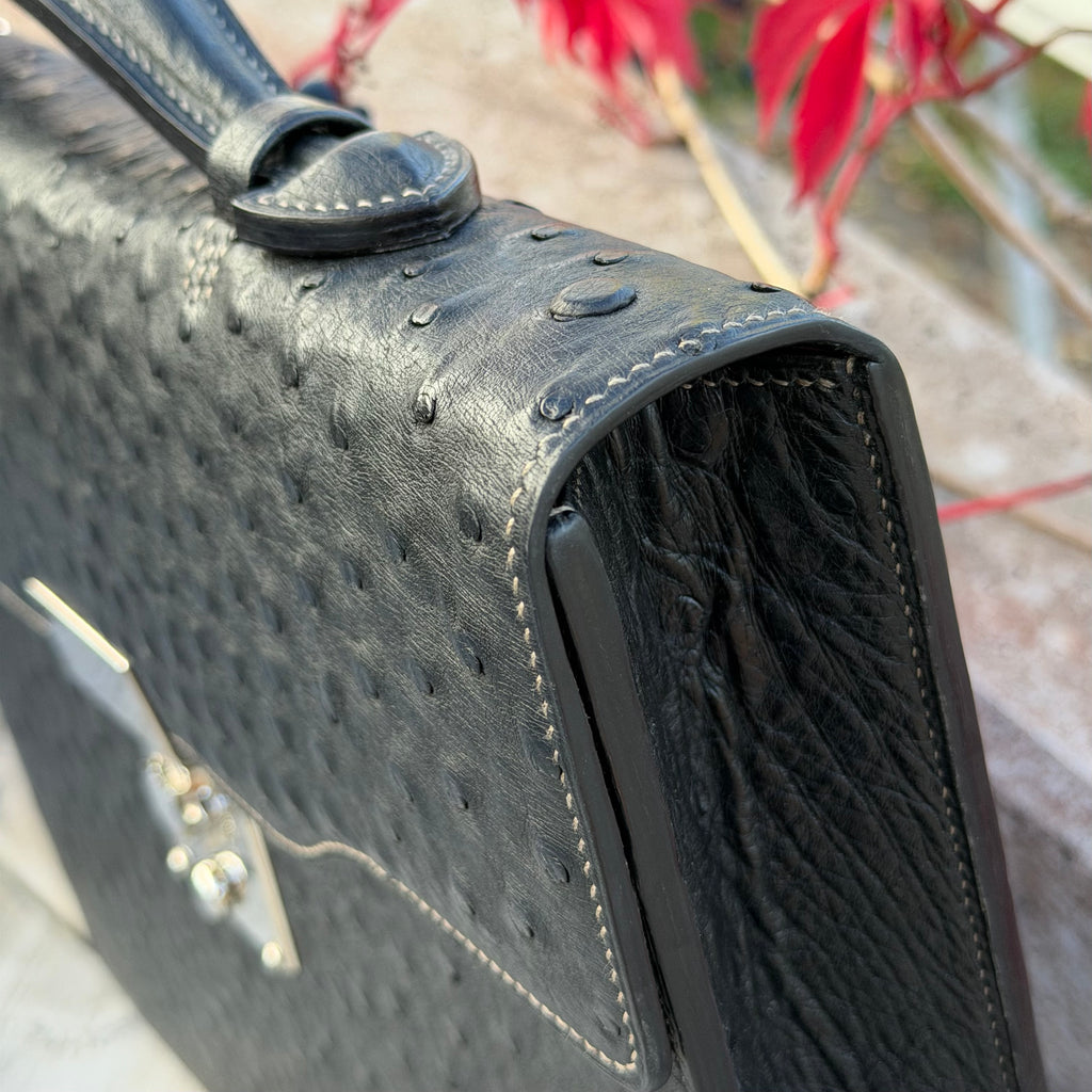 Briefcase ostrich