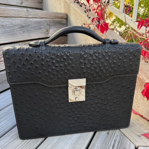 Briefcase ostrich