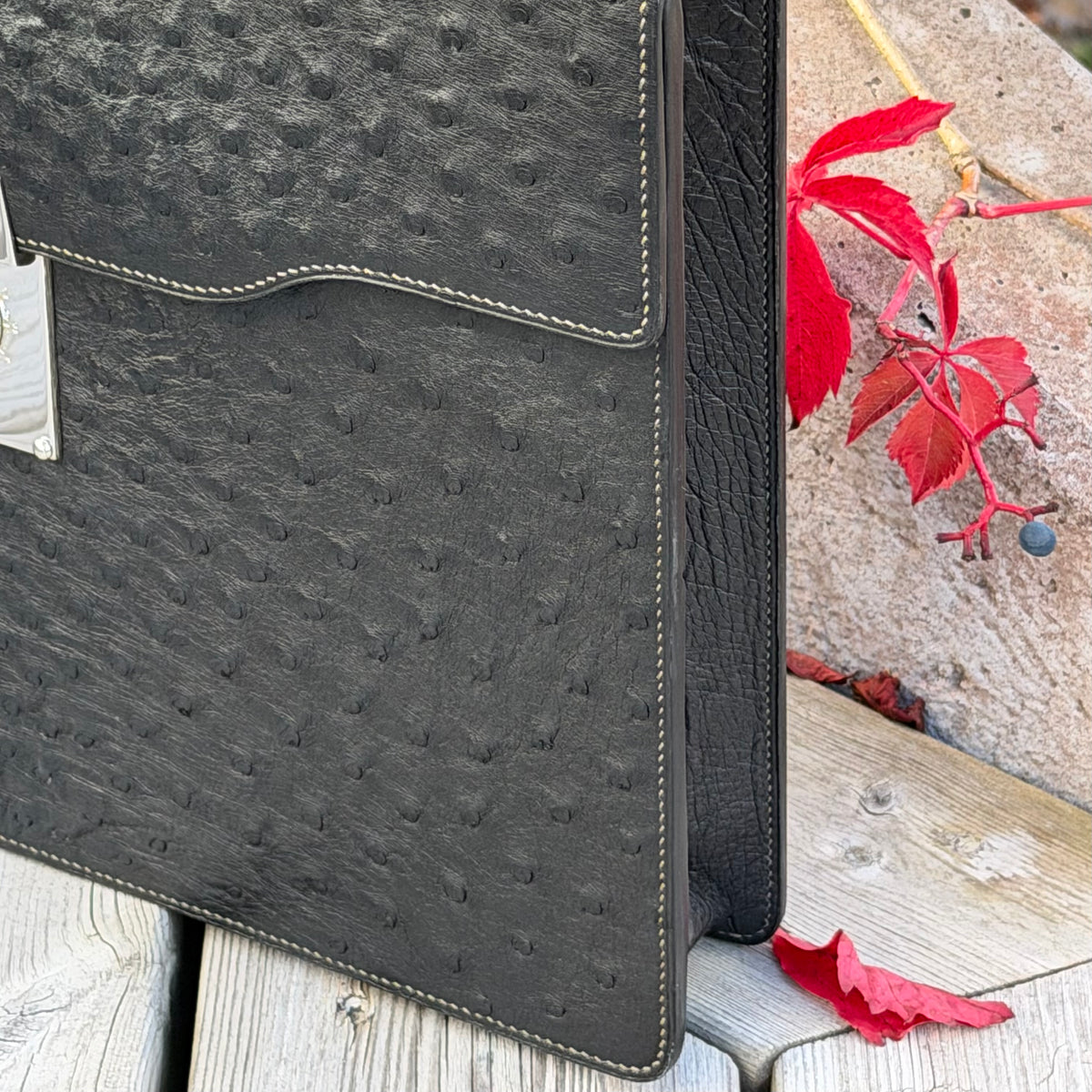 Briefcase ostrich