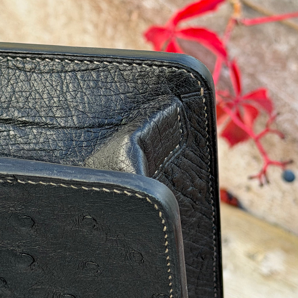 Briefcase ostrich