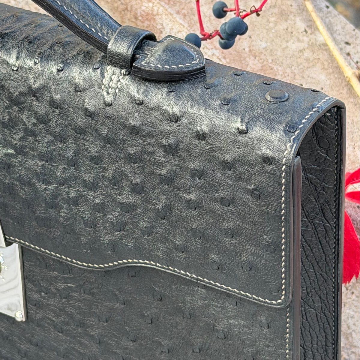 Briefcase ostrich