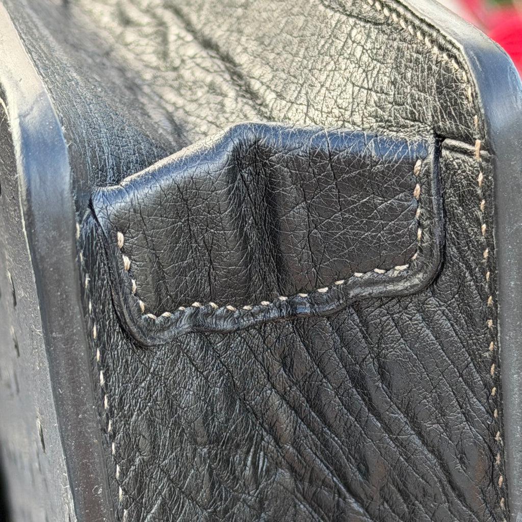 Briefcase ostrich