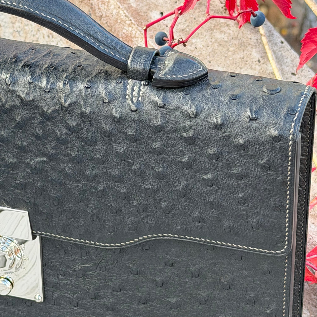 Briefcase ostrich