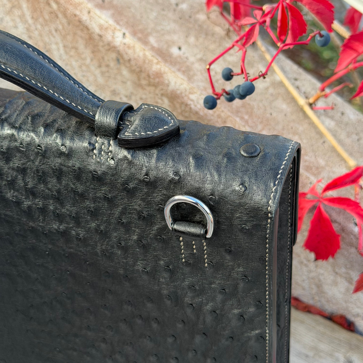 Briefcase ostrich