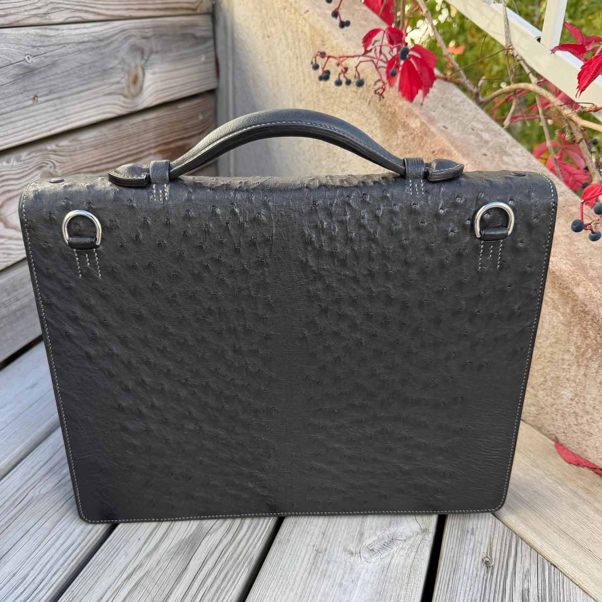 Briefcase ostrich