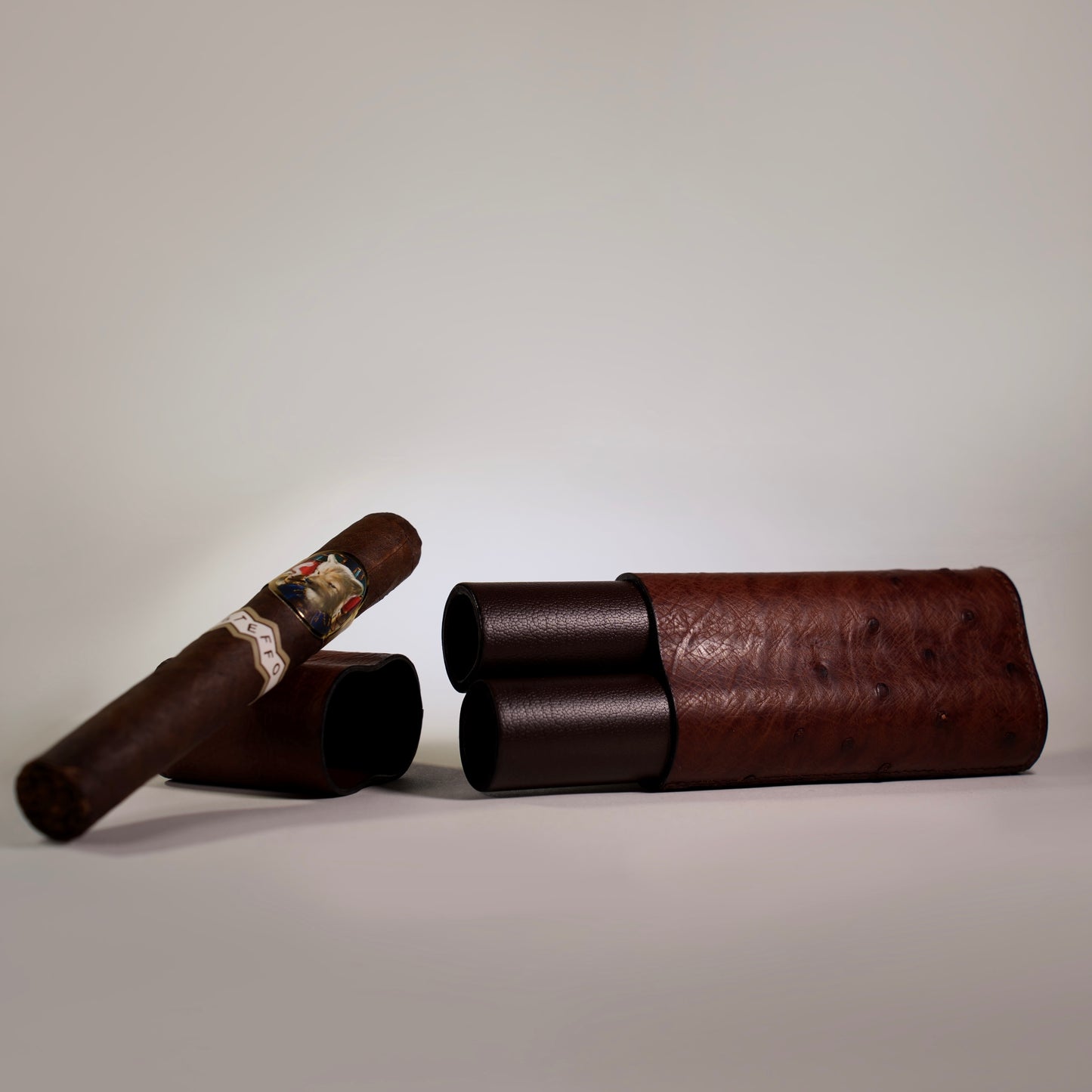 Cigar case