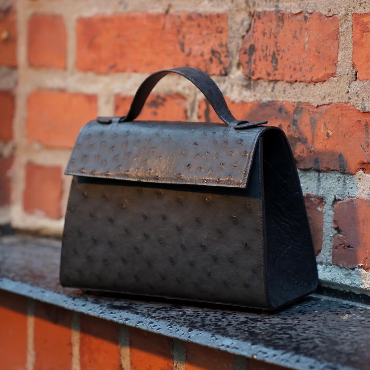 Raka linjer handbag in Ostrich