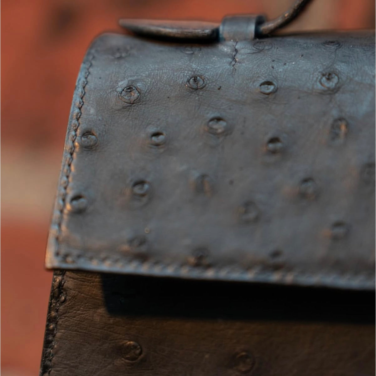 Raka linjer handbag in Ostrich