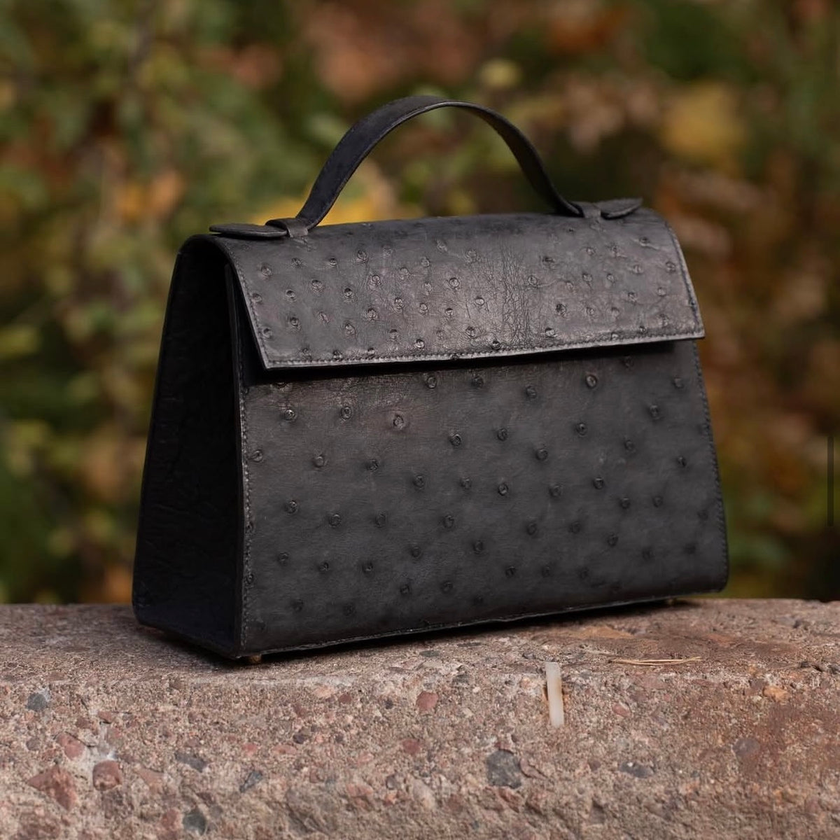 Raka linjer handbag in Ostrich