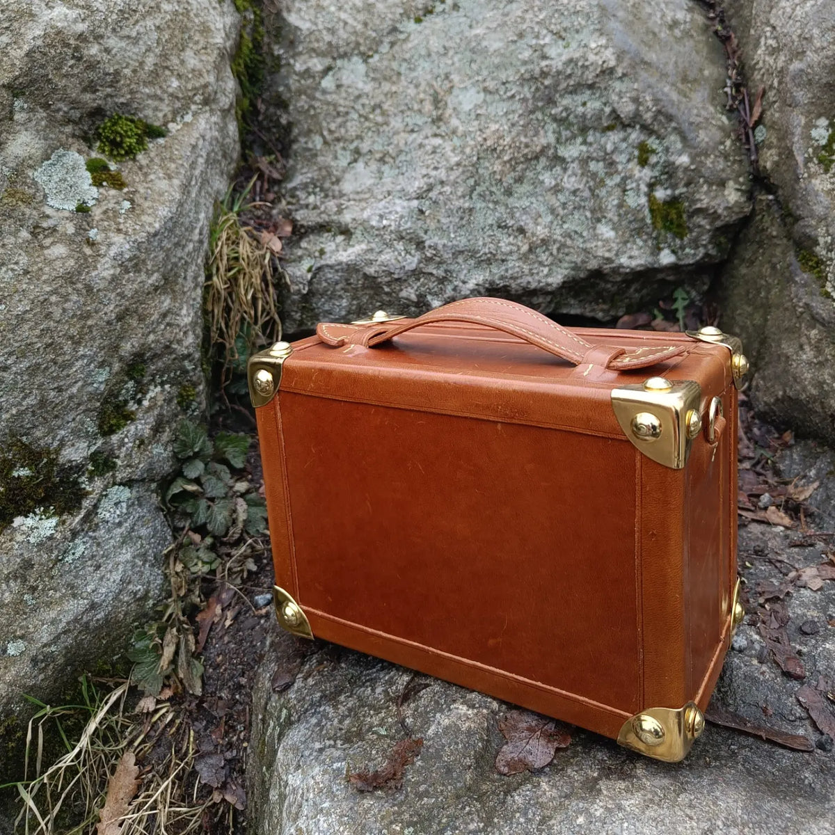 Mini leather trunk