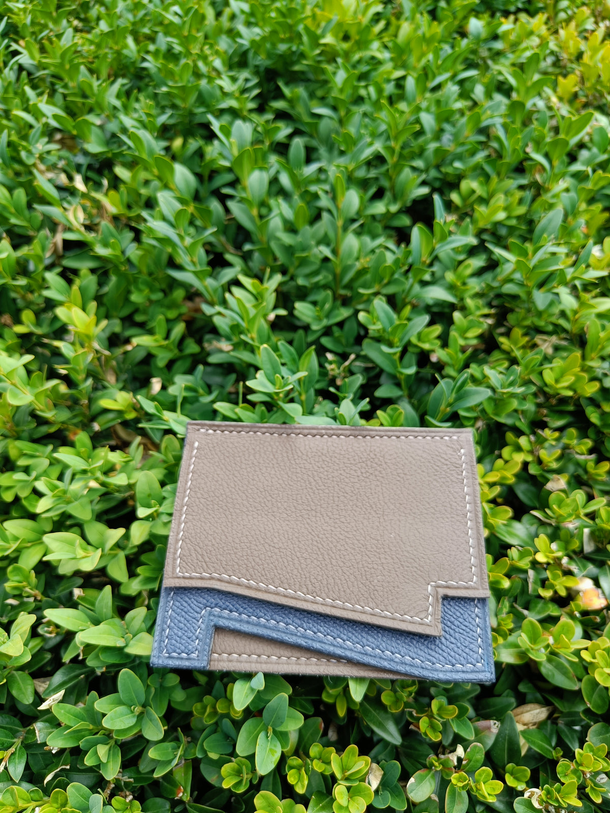 N wallet grained and epsom leather