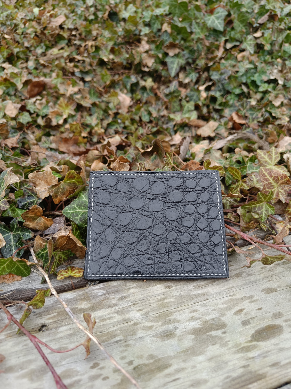 N wallet Alligator