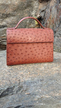 Raka linjer handbag in Ostrich