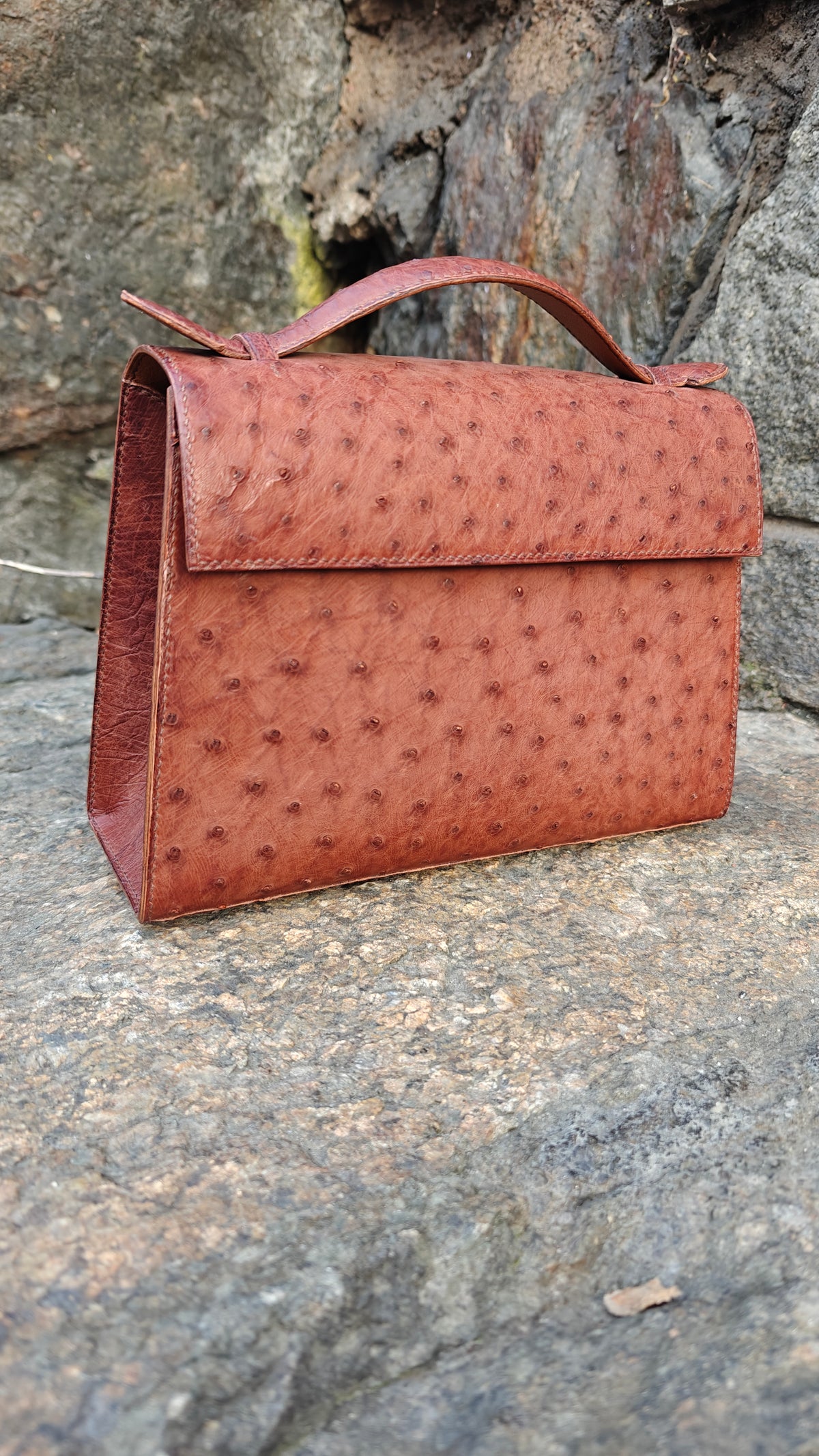 Raka linjer handbag in Ostrich