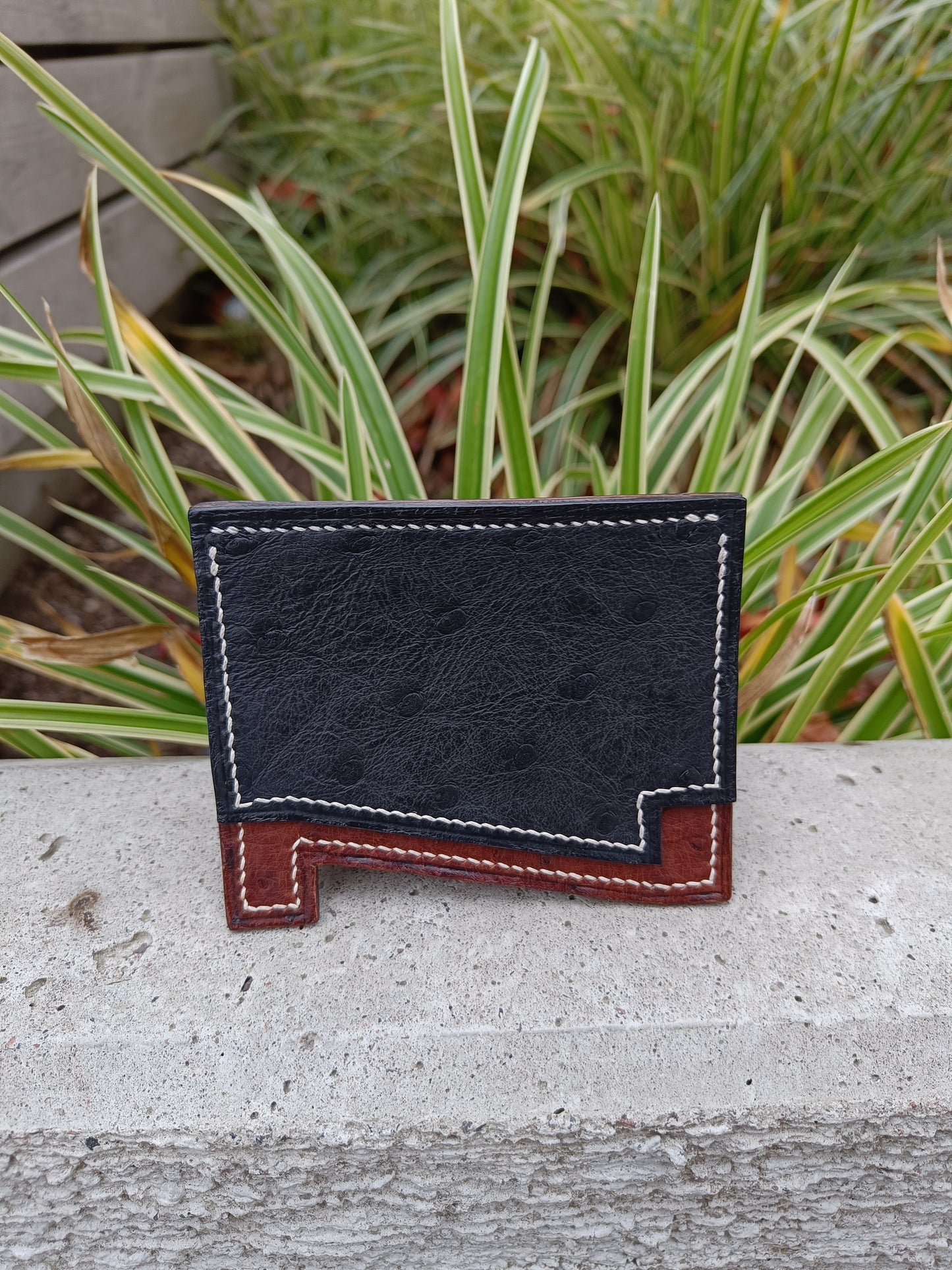 Swedish Ostrich leather "N" Wallet